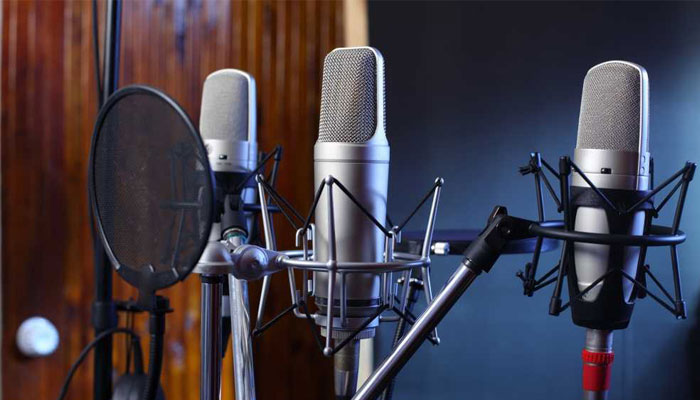 Hindi To English Voice Translations Artist Company Studio In India